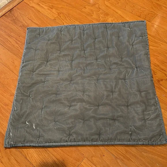 Crate & Barrel Audra Velvet Accent Pillow sage green Zip Closure nwot