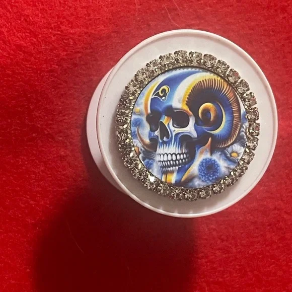 Skull and Ram Design Brooch with Rhinestones