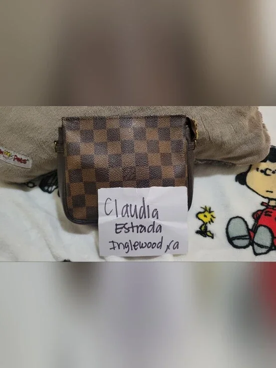 Louis Vuitton Pouch