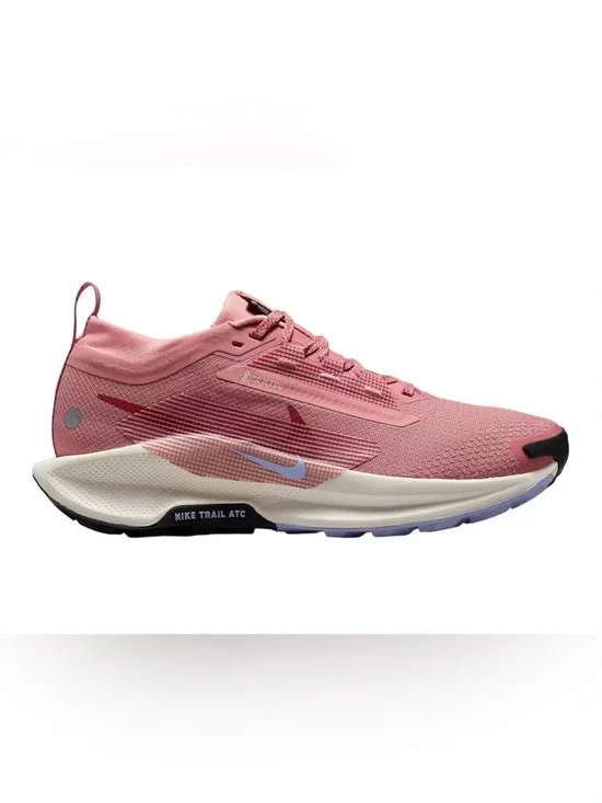 Nike Pegasus Trail 5 GTX Women’s