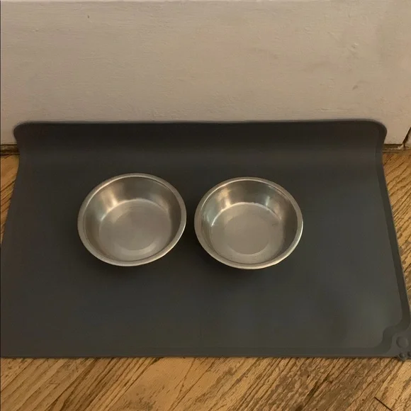 Stainless Steel Pet Bowls with Gray Mat