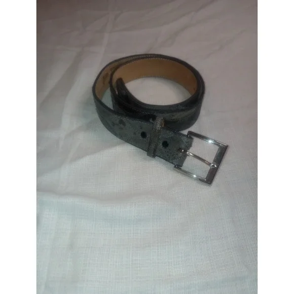 Youth 34D8 Justin Genuine Grey‎ Ostrich Belt USA 286S Vintage Western