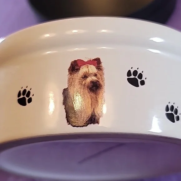 0774. BowWowMeow's Ceramic Decorative Bowl for Small Pet Dogs ~ So classy & Cute