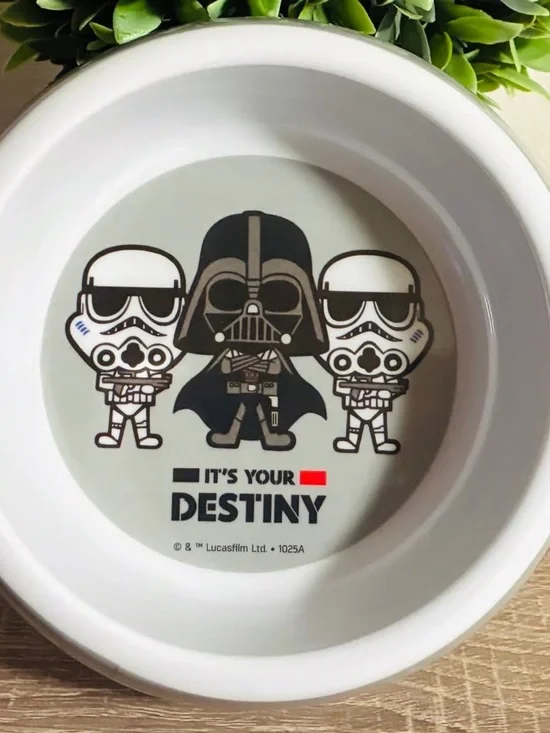 Star Wars White Ceramic Pet Bowl with Darth Vader & Stormtroopers