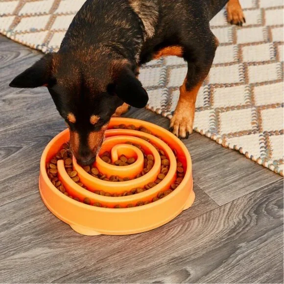 Outward Hound Slow Feeder Cat/Dog Game Bowl Spiral Design Non-Slip Food Dish
