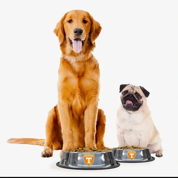 Tennessee Vols Dog Everyday Bowl Feeder