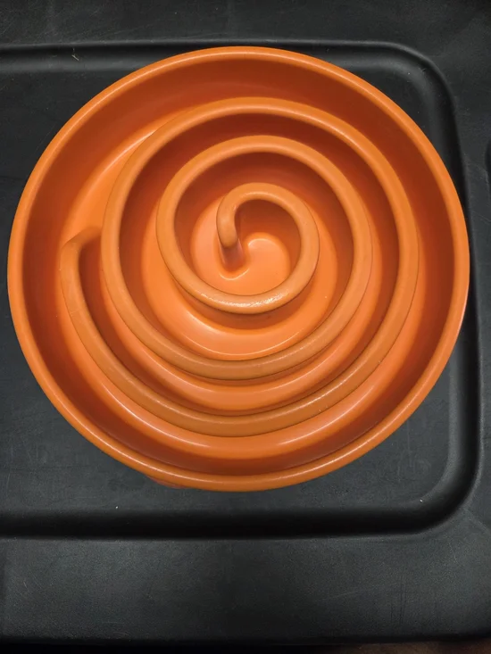 Outward Hound Fun Feeder Spiral Pet Slow Feeder Bowl