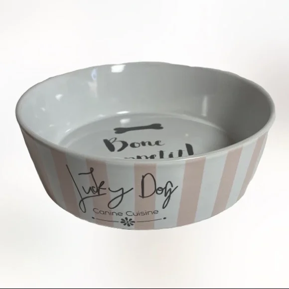 NWOT 10 Strawberry Street Lucky Dog Canine Cuisine Bone Appetit! Dog Bowl Dish