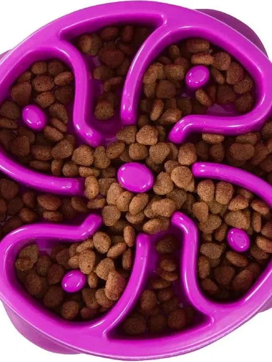 Outward Hound Fun Feeder Slow Feeder Pet Bowl – Interactive Feeding Puzzle