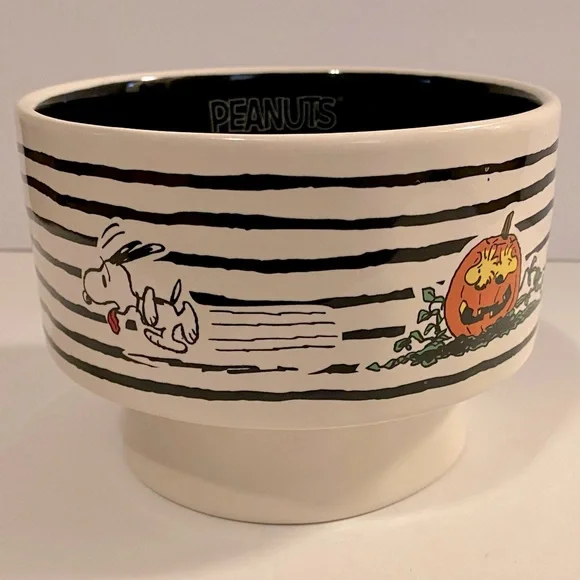 NWOT Rae Dunn Peanuts Dog Bowl Featuring Snoopy and Woodstock
