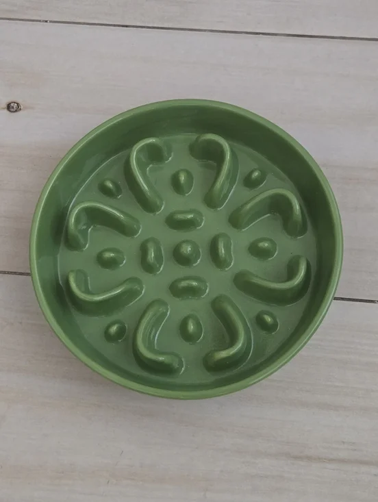 Ceramic Slow Feeder Bowl