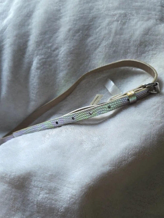 Iridescent Snakeskin Belt