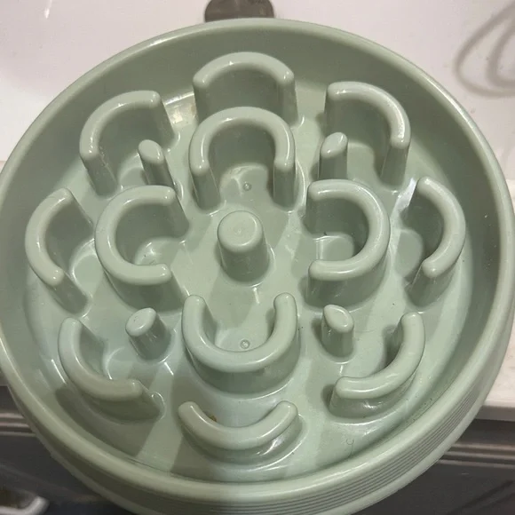 Slow feeder dog bowl