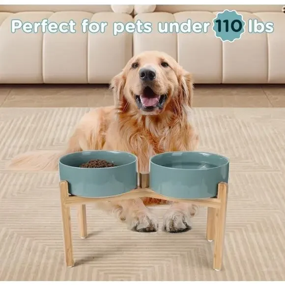 Elevated Ceramic Dog Bowls 60oz Bamboo Stand Dark Green Open Box