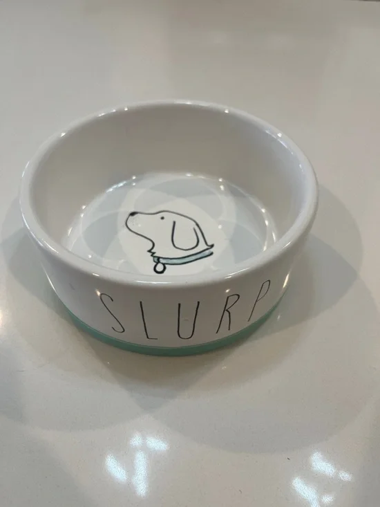 Ceramic Dog Bowl in White with Mint Accent - SLURP Design