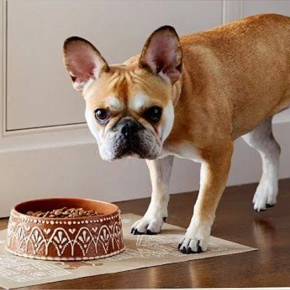 Pottery Barn Gingerbread Medium Pet Bowl BN