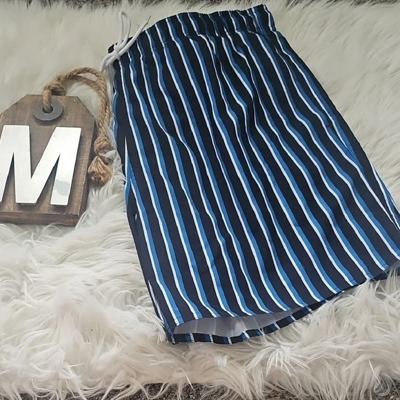 Arizona Striped Swim Shorts with 6.5