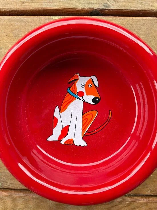 Unique enamelware large dog bowl imported from Czech Republic