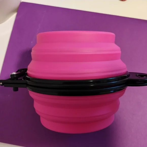 Collapsible double pet bowl