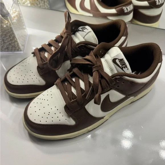 Women’s 8 Brown Nike Dunks