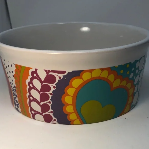 Colorful Ceramic large dog Bowl with retro Heart Design bright colors