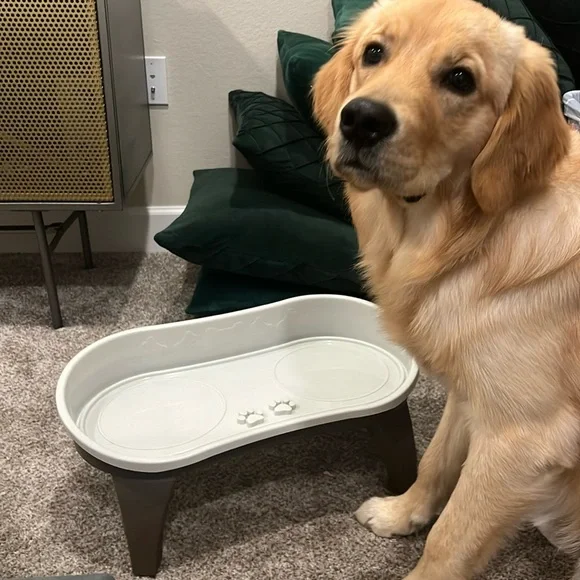 Puppy Feeding Raised Platform