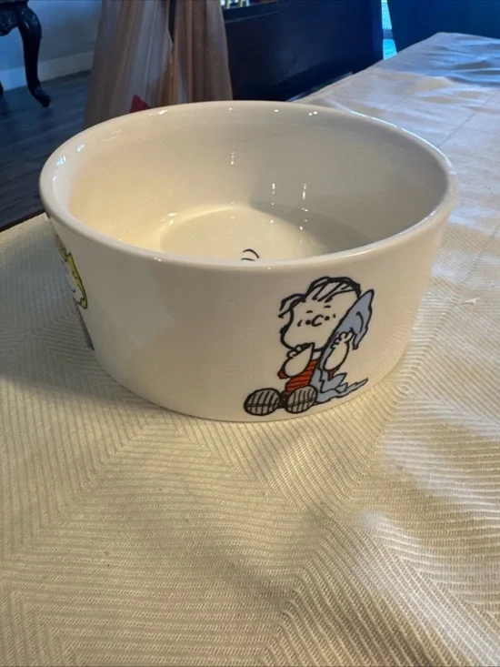 Peanuts Character Ceramic Bowl - White with Multicolor Graphics dog bowl 6”