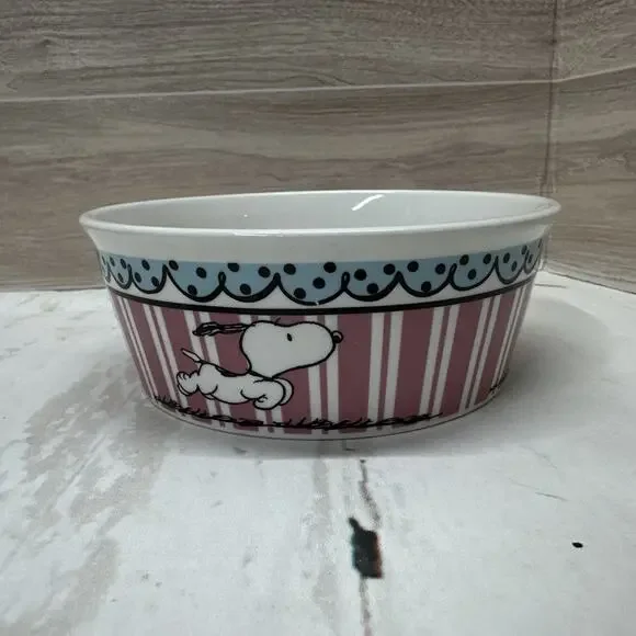 Gibson Peanuts Snoopy Pink Stripes Pet Bowl, 5” Diameter