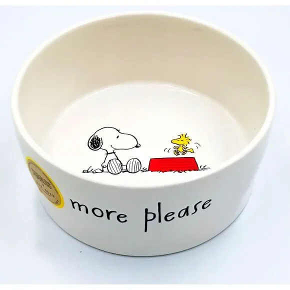 Rae Dunn x PEANUTS 