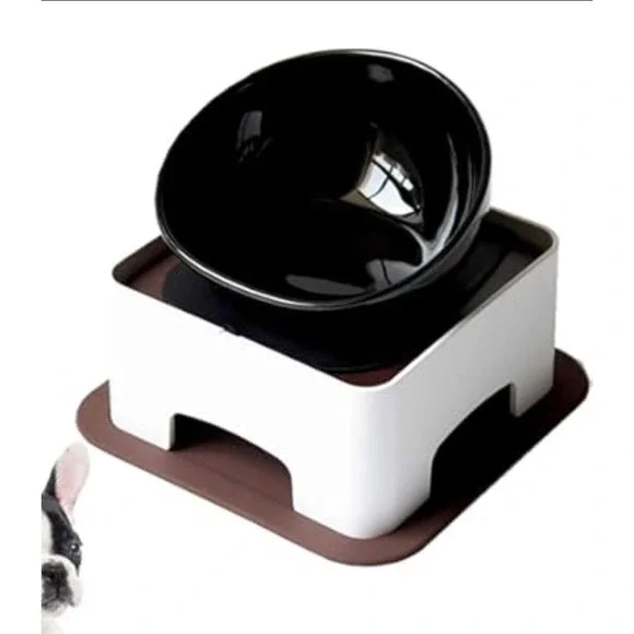 Dog Bowl