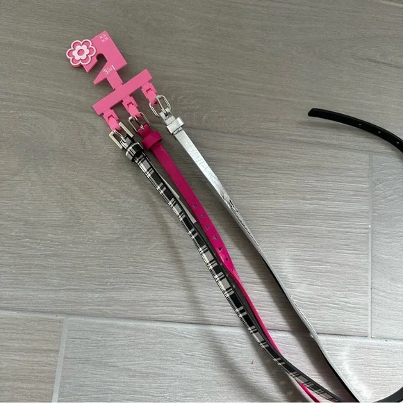 Stylish Pink and Silver Women's Belt Set