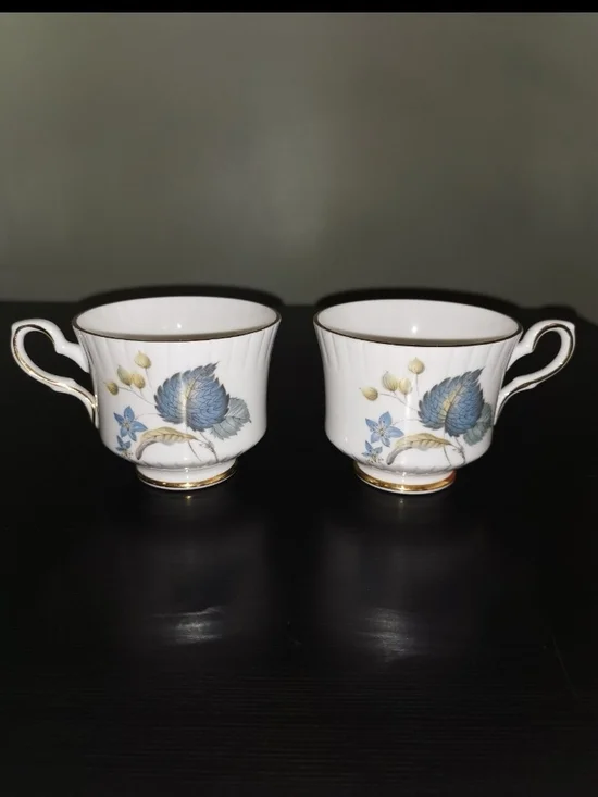 Lot of 2 - Vintage Royal Stafford Bone China Teacup with Blue Flowers EST 1845