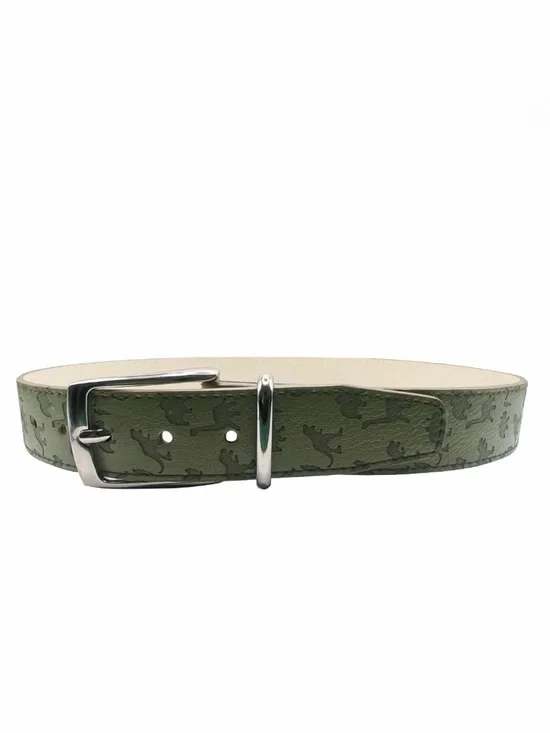 NWT - Green Dinosaur Print Belt