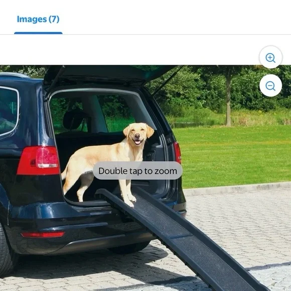 Black Pet Ramp for Dogs