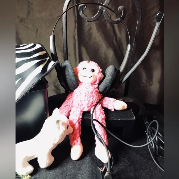 Headset and Microphone