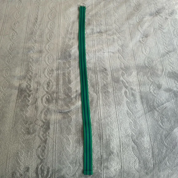 Kids Green with Blue Stripes Polo Ralph Lauren Belt Size 14 34in long