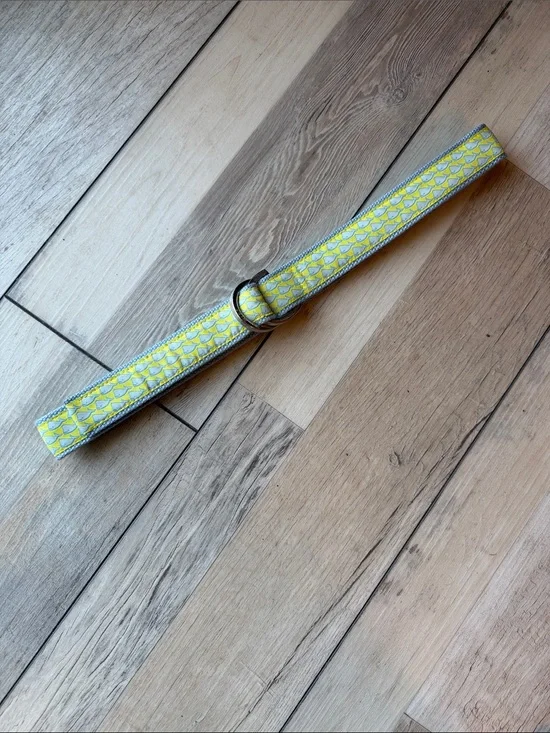 Lime Green and Light Blue Whale Print Belt