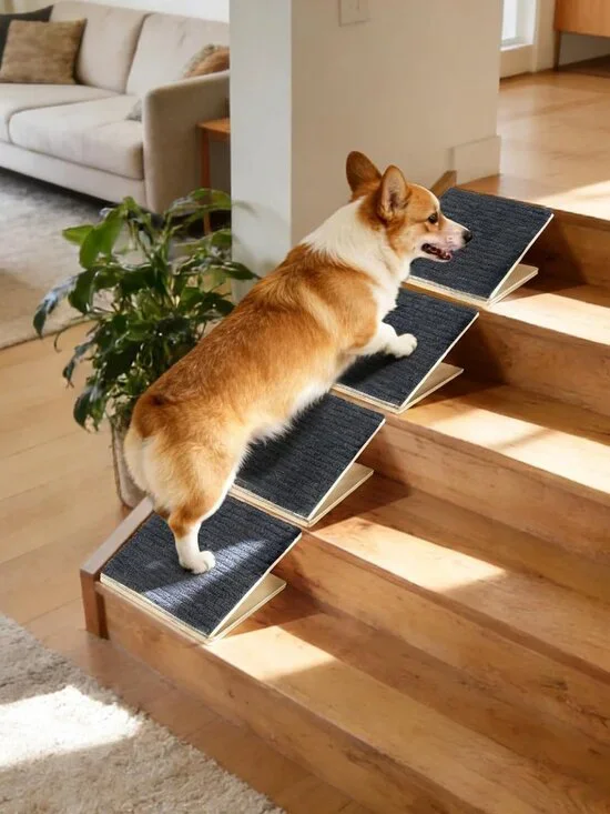 Pet Stair Ramp for Small Dogs, 4 Pack