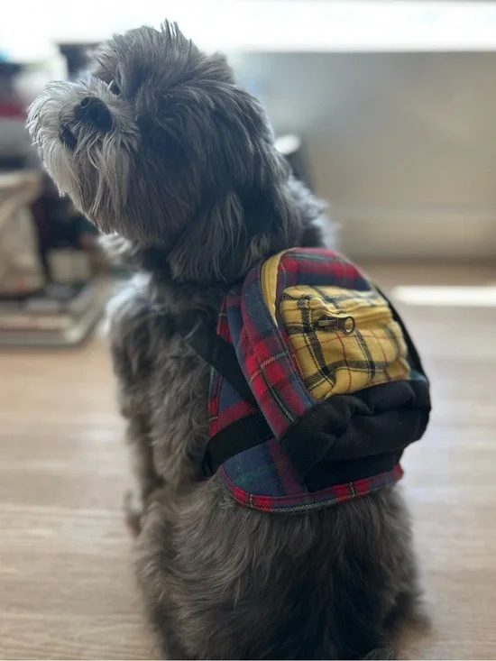 Plaid Yellow & Red Dog Backpack - Small Dogs