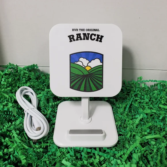 RARE Hidden Valley Electronics Wireless Power Chargers Cell Phone Stand Charger
