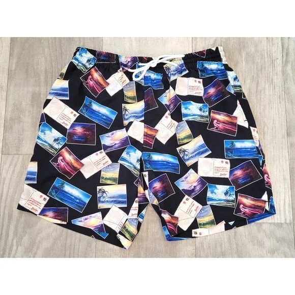 RSVLTS Bob Ross Postcards Mens Size M Swim Trunks Shorts Mesh Lined Beach Resort