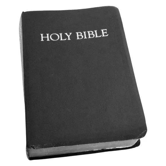 NRSV Bible Children's Hardcover New Revised Standard Version Abingdon Press 2006