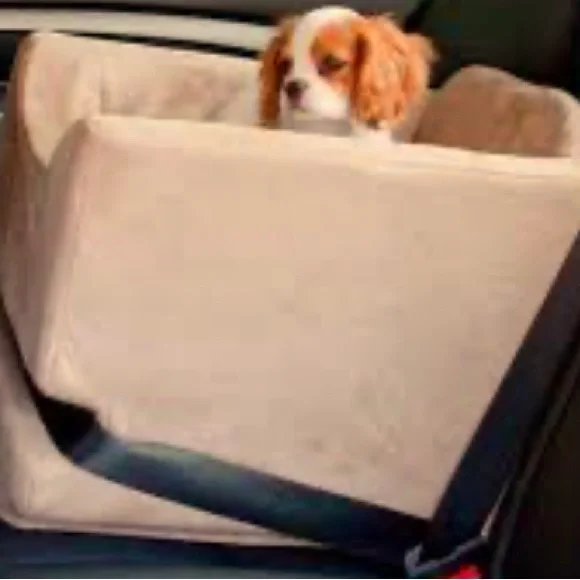 🚗 💺 🐶 • Paw 🐾 Car Ride Vibes 🐾• 🐶💺🚗