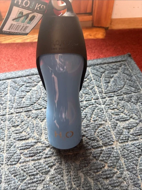 H2O GO Stainless Water Bottle in Light Blue with Black Cap