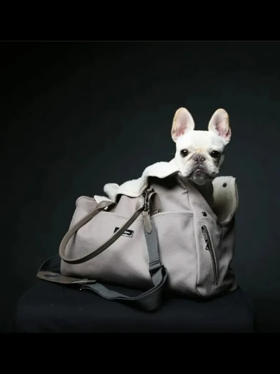 Max Bone City Carrier Tote with Removable Strap