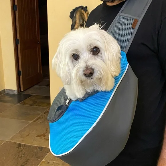 Dog or cat carrier
