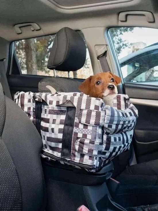 Small pet carrier