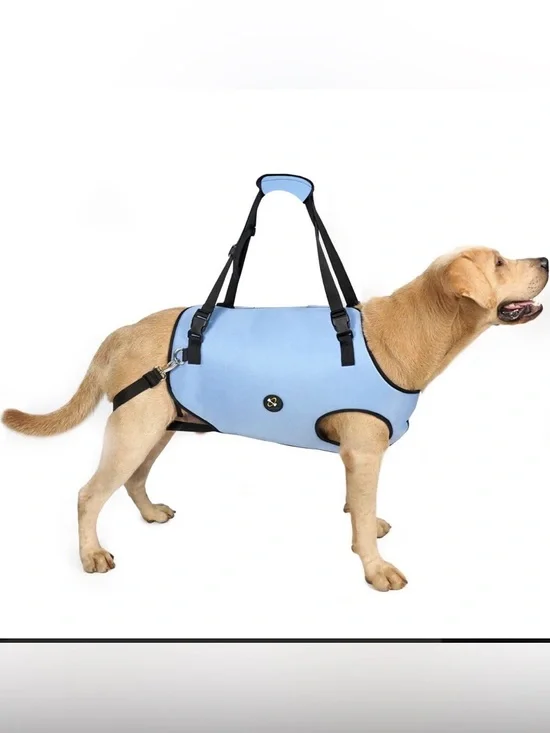 Adjustable Light Blue Dog Support Harness with Padded Lift Handles