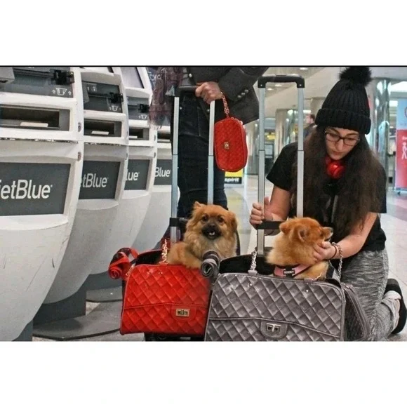A Pet with Paws Dog Carrier for Small Dogs Airline-approved