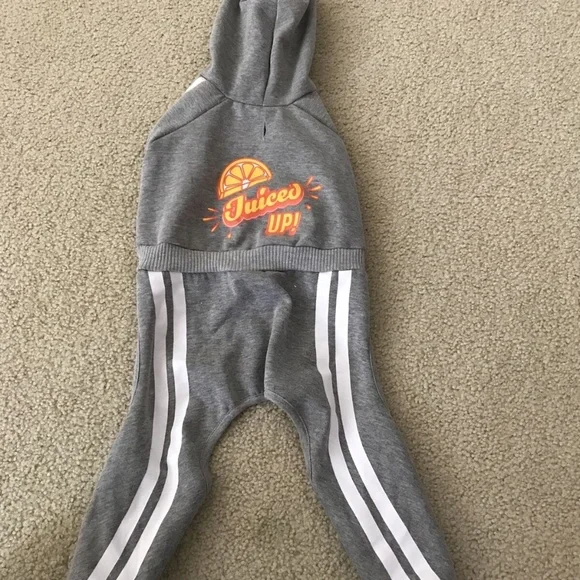 Top Paw Dog gray track suit 